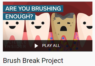 Brush Break project